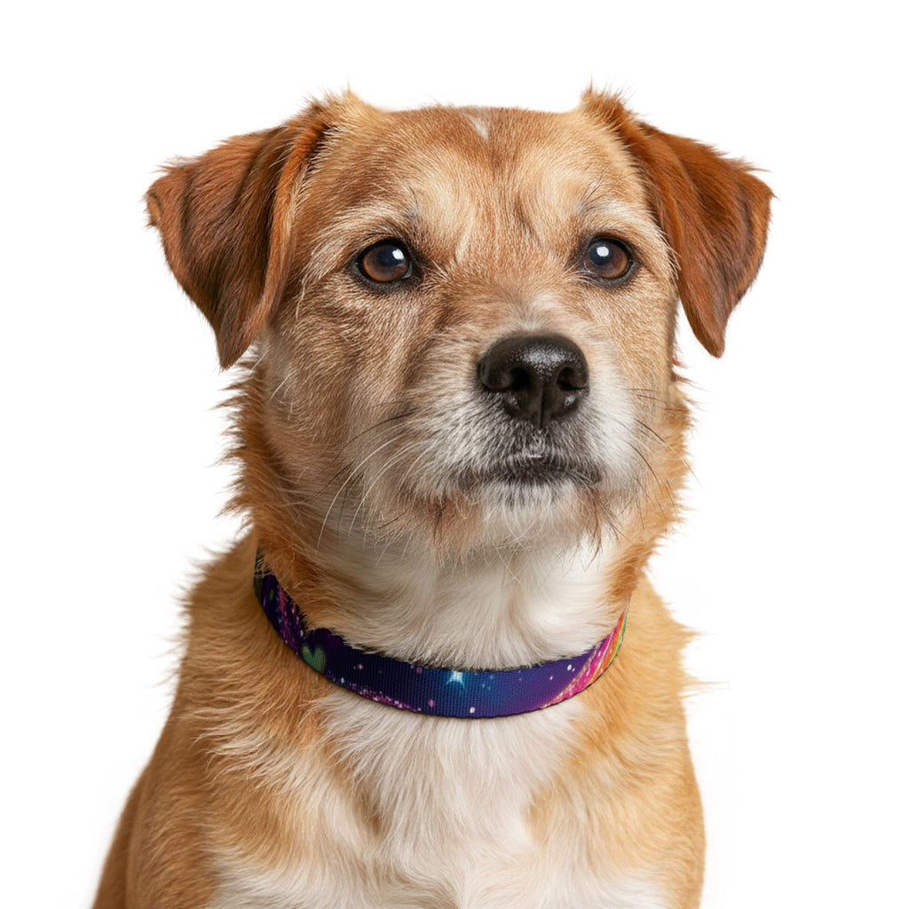 Piklez™ Clip-on Pet Collar – "Magic Paint!" Graphic | Smile Universe Collection