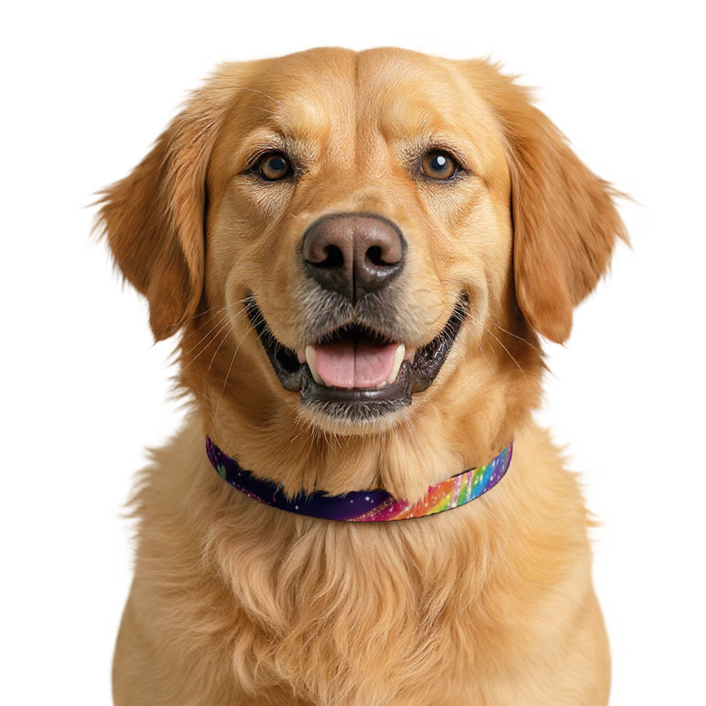 Piklez™ Clip-on Pet Collar – "Magic Paint!" Graphic | Smile Universe Collection