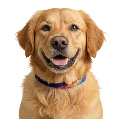 Piklez™ Clip-on Pet Collar – "Magic Paint!" Graphic | Smile Universe Collection