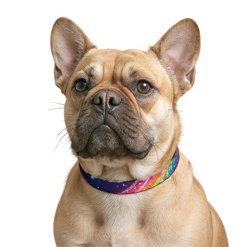 Piklez™ Clip-on Pet Collar – "Magic Paint!" Graphic | Smile Universe Collection