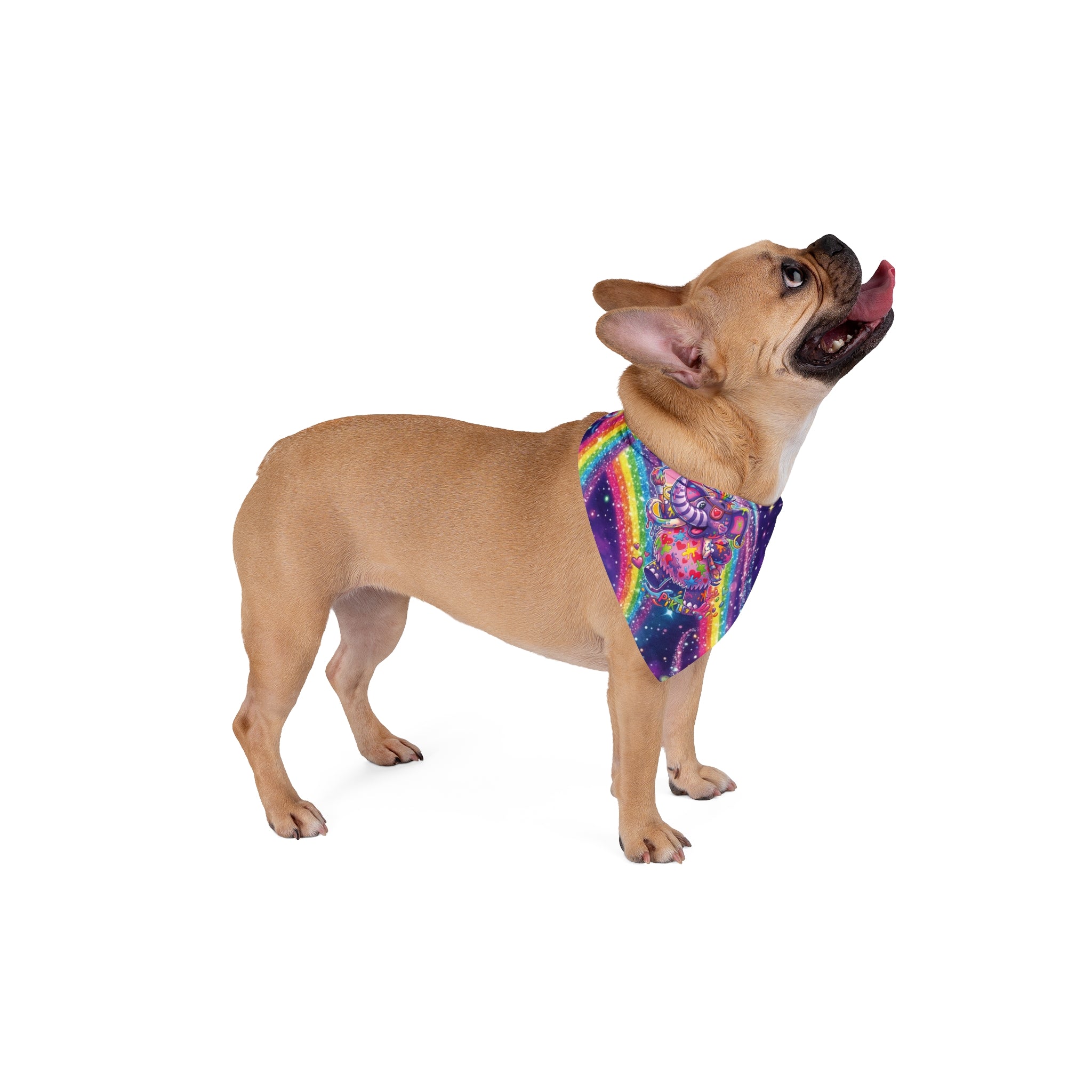 Piklez™ Pet Bandana – "Magic Paint!" Graphic | Smile Universe Collection